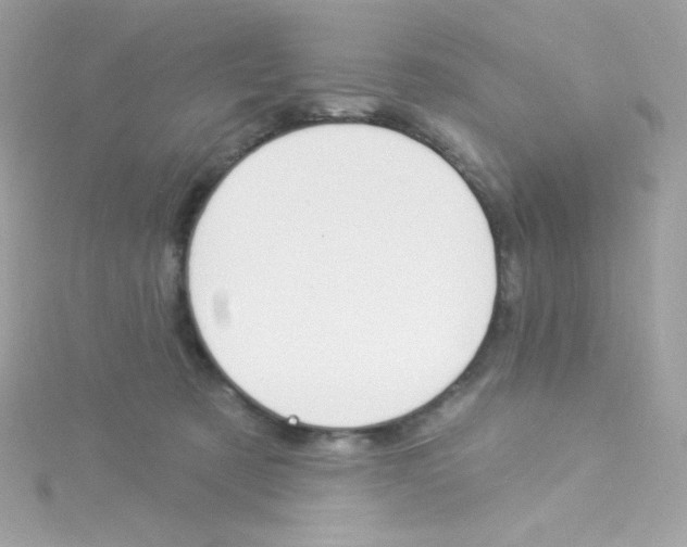 X0000115850321200911271247