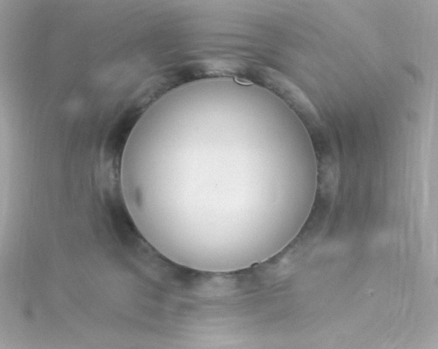 X0000115850329200911271247