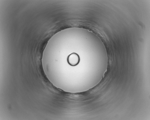 X0000115850332200911271247
