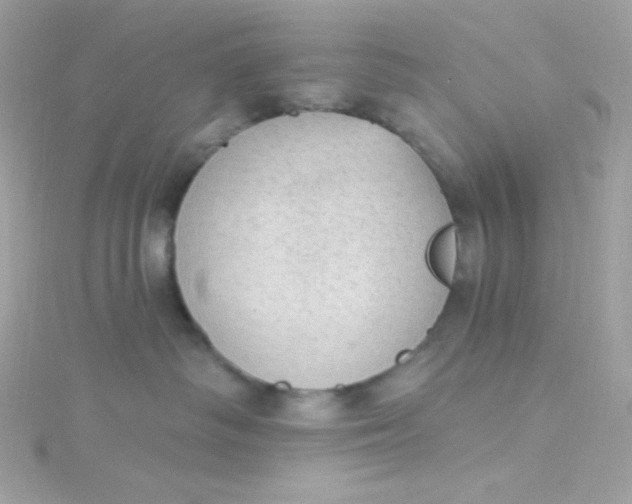 X0000115850334200911271247