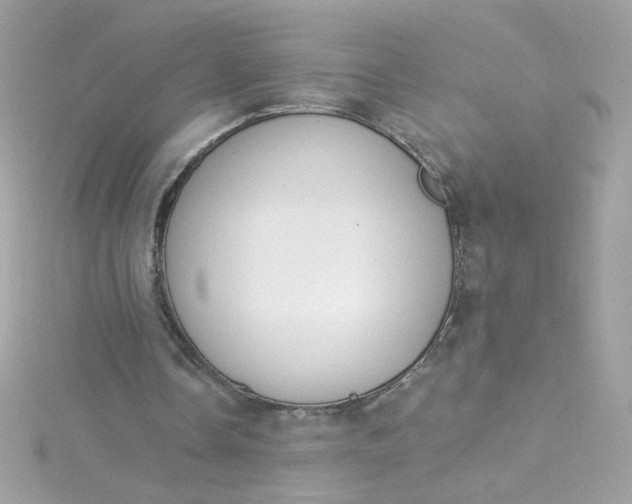 X0000115850338200911271246