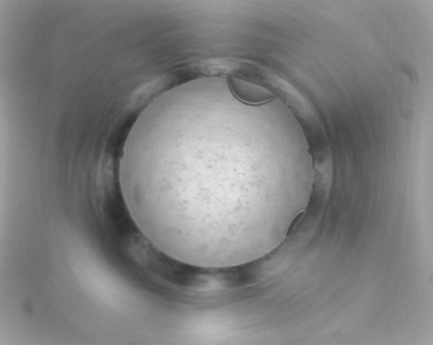 X0000115850381200911271247