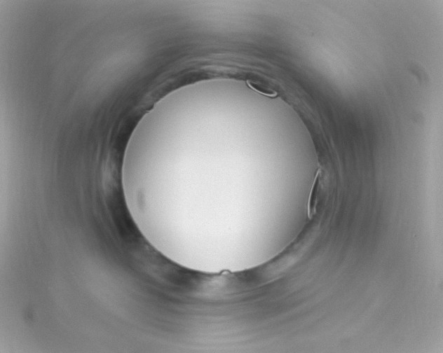 X0000115850382200911271247