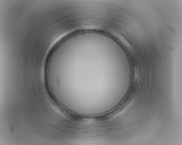 X0000115850391200911271246