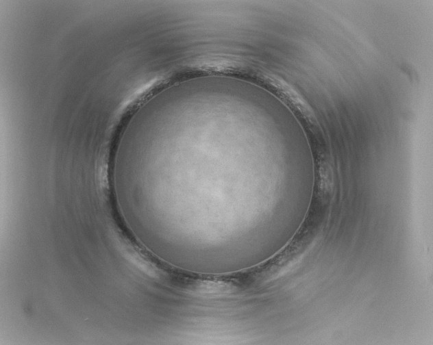 X0000115850399200911271246