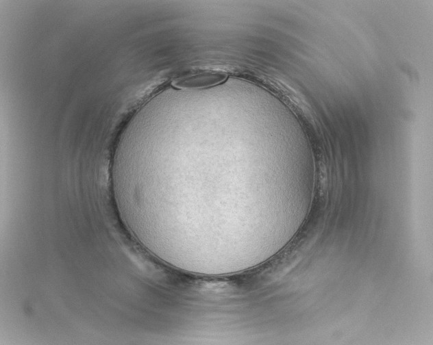 X0000115850401200911271246