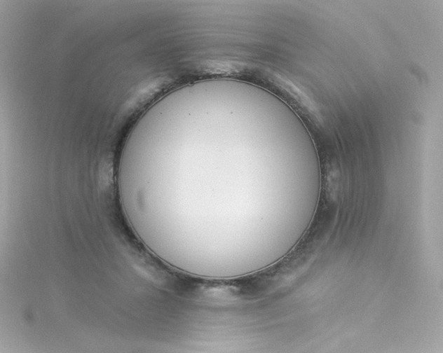 X0000115850407200911271246