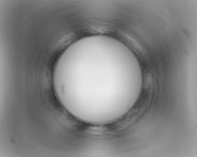 X0000115850414200911271246