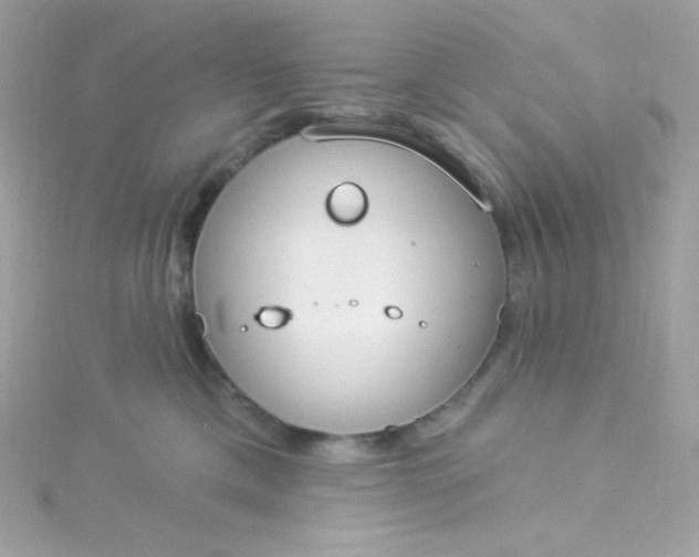 X0000115850425200911271245
