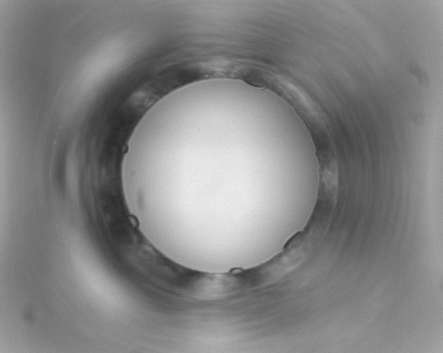 X0000115850429200911271245