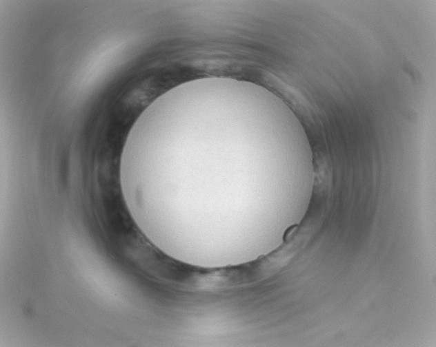 X0000115850430200911271245