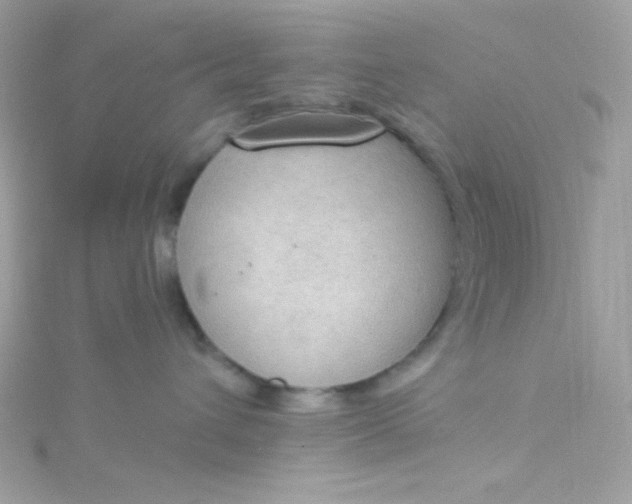 X0000115850432200911271245