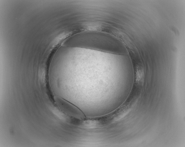 X0000115850444200911271245