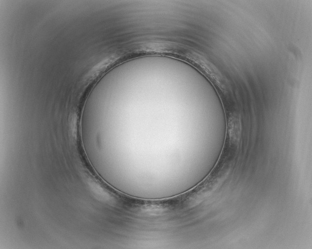 X0000115850445200911271245