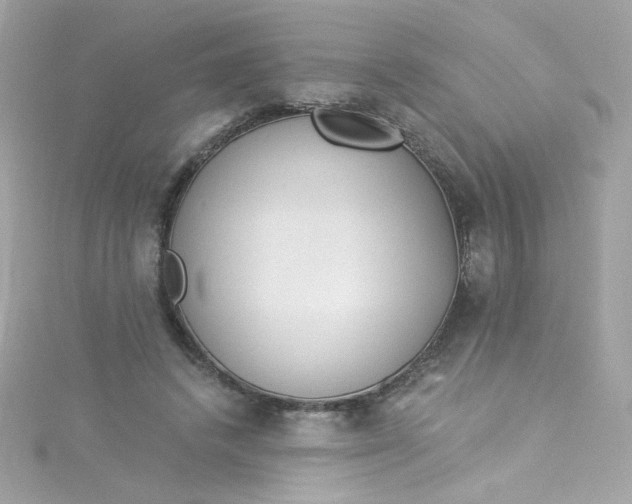 X0000115850448200911271245