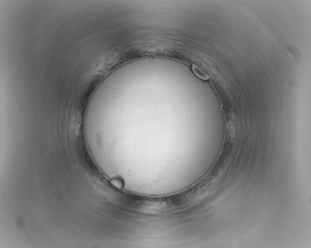 X0000115850458200911271245