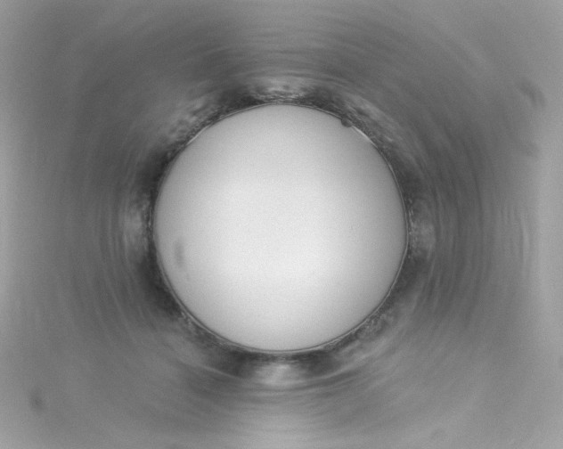 X0000115850460200911271245