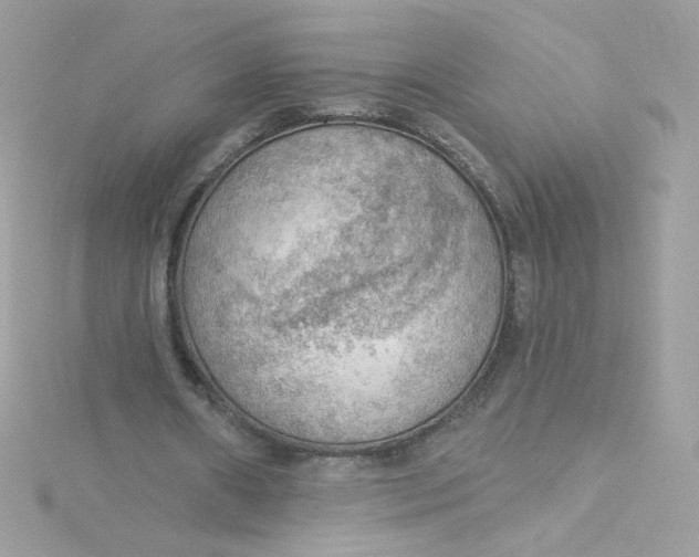 X0000115850482200911271245