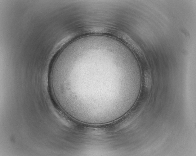 X0000115850486200911271245