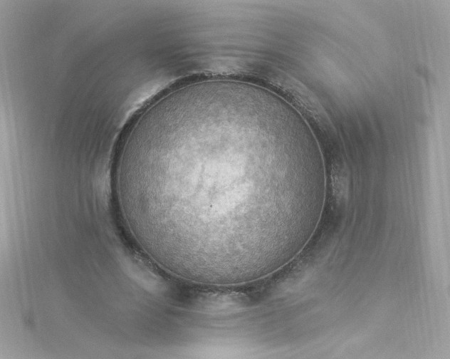 X0000115850488200911271245