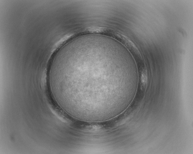 X0000115850492200911271245