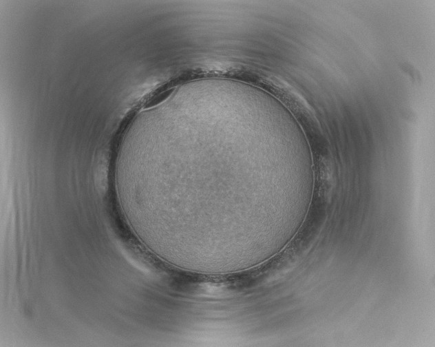 X0000115850496200911271245