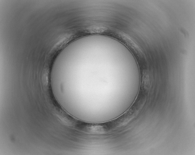 X0000115850501200911271245