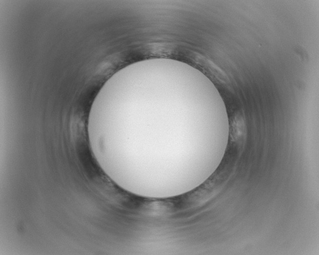X0000115850522200911271244