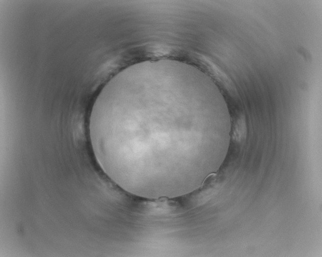 X0000115850524200911271244