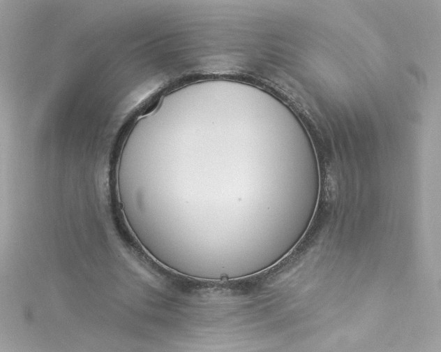 X0000115850535200911271244
