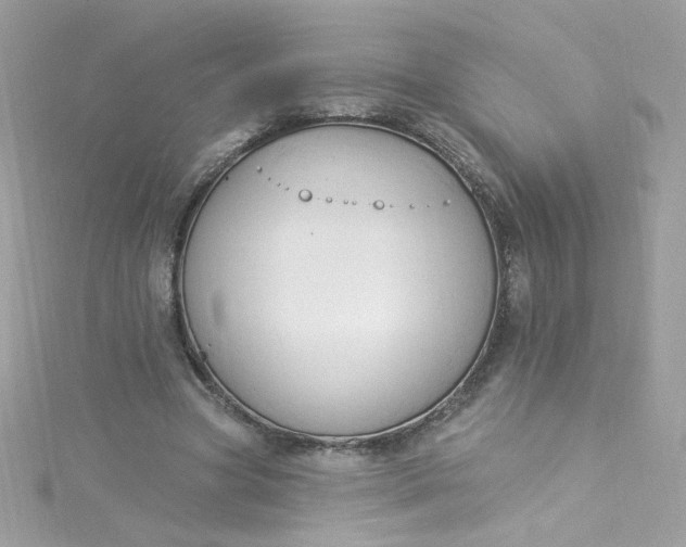 X0000115850537200911271244