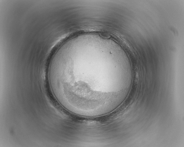 X0000115850539200911271244