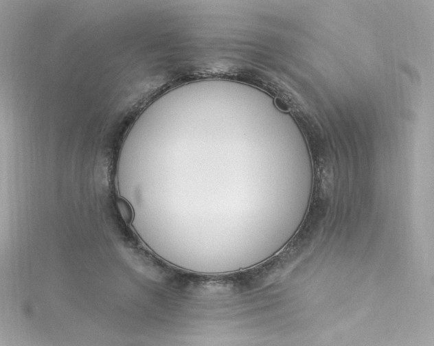 X0000115850546200911271244