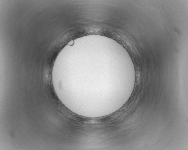 X0000115850561200911271244