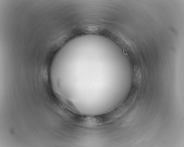X0000115850562200911271244