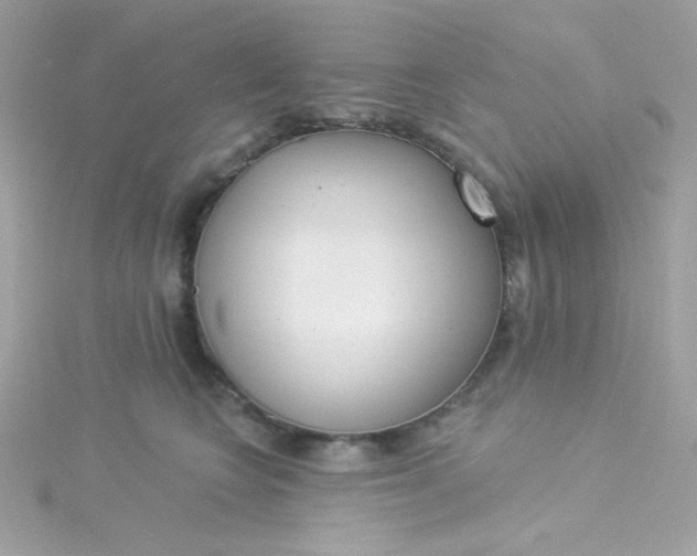 X0000115850566200911271244