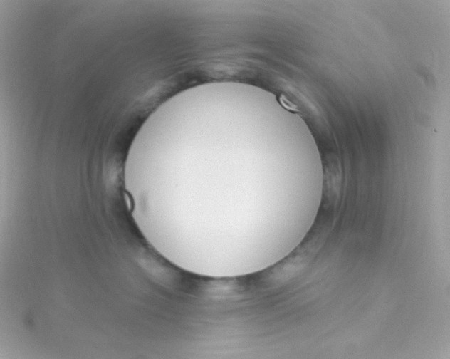 X0000115850574200911271244