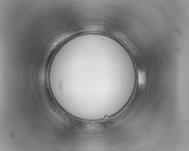 X0000115850579200911271244