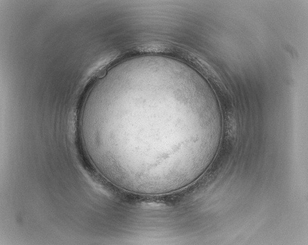 X0000115850586200911271243