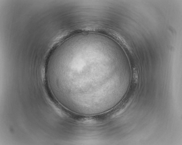 X0000115850589200911271243