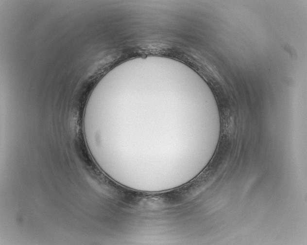 X0000115850599200911271243