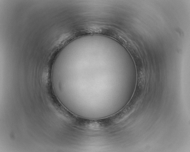 X0000115850600200911271243