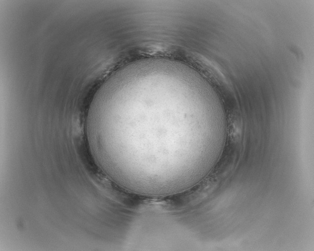 X0000115850607200911271243