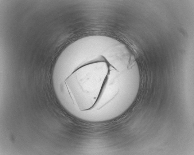 X0000115850609200911271243