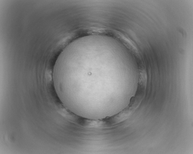 X0000115850621200911271243
