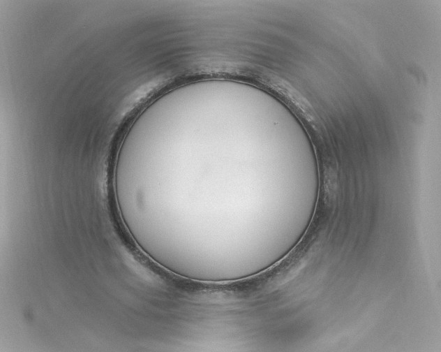 X0000115850629200911271242