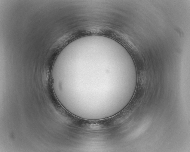 X0000115850645200911271243