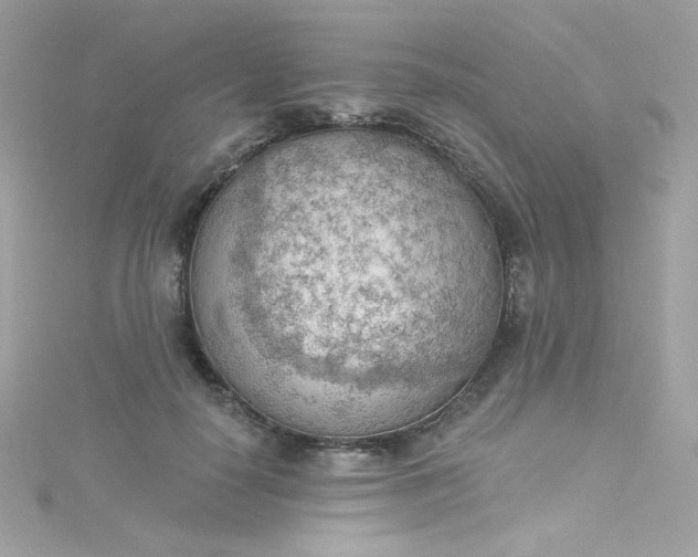 X0000115850650200911271243