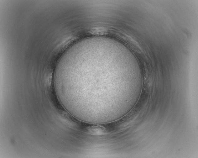 X0000115850652200911271243