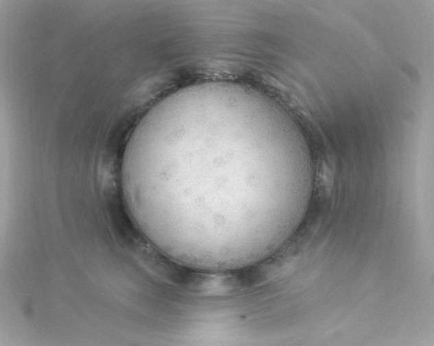 X0000115850663200911271243